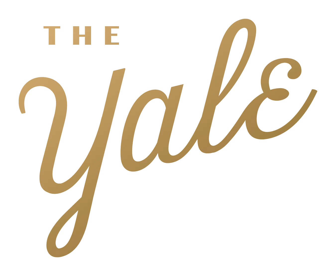 Business logo for The Yale Theater